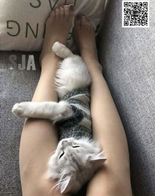 烈火电视剧免费观看全集完整版_BD英语全集免费播放