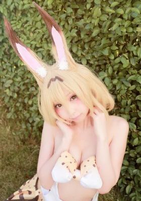 魔装学园第一季免费看樱花_DVD在线观看电视